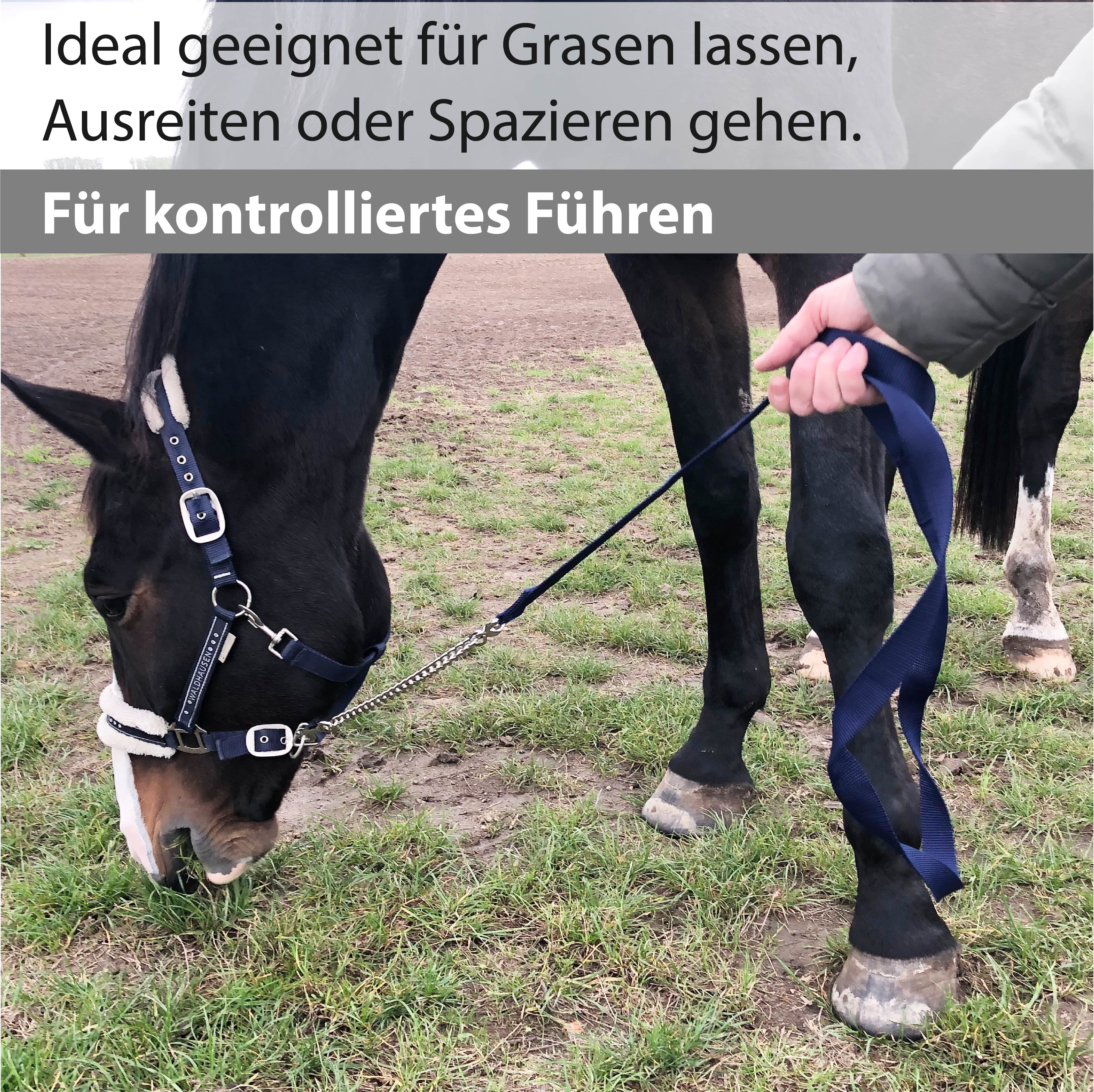 Führkette für Pferde mit Handschlaufe, Länge 2,10 m
